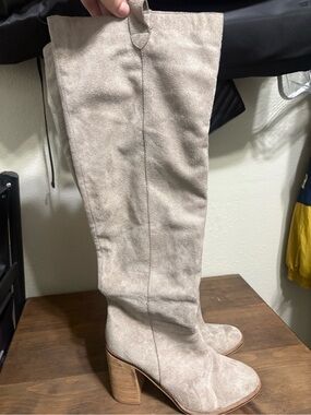 Knee-High Suede Block Heel Boots in Light Taupe